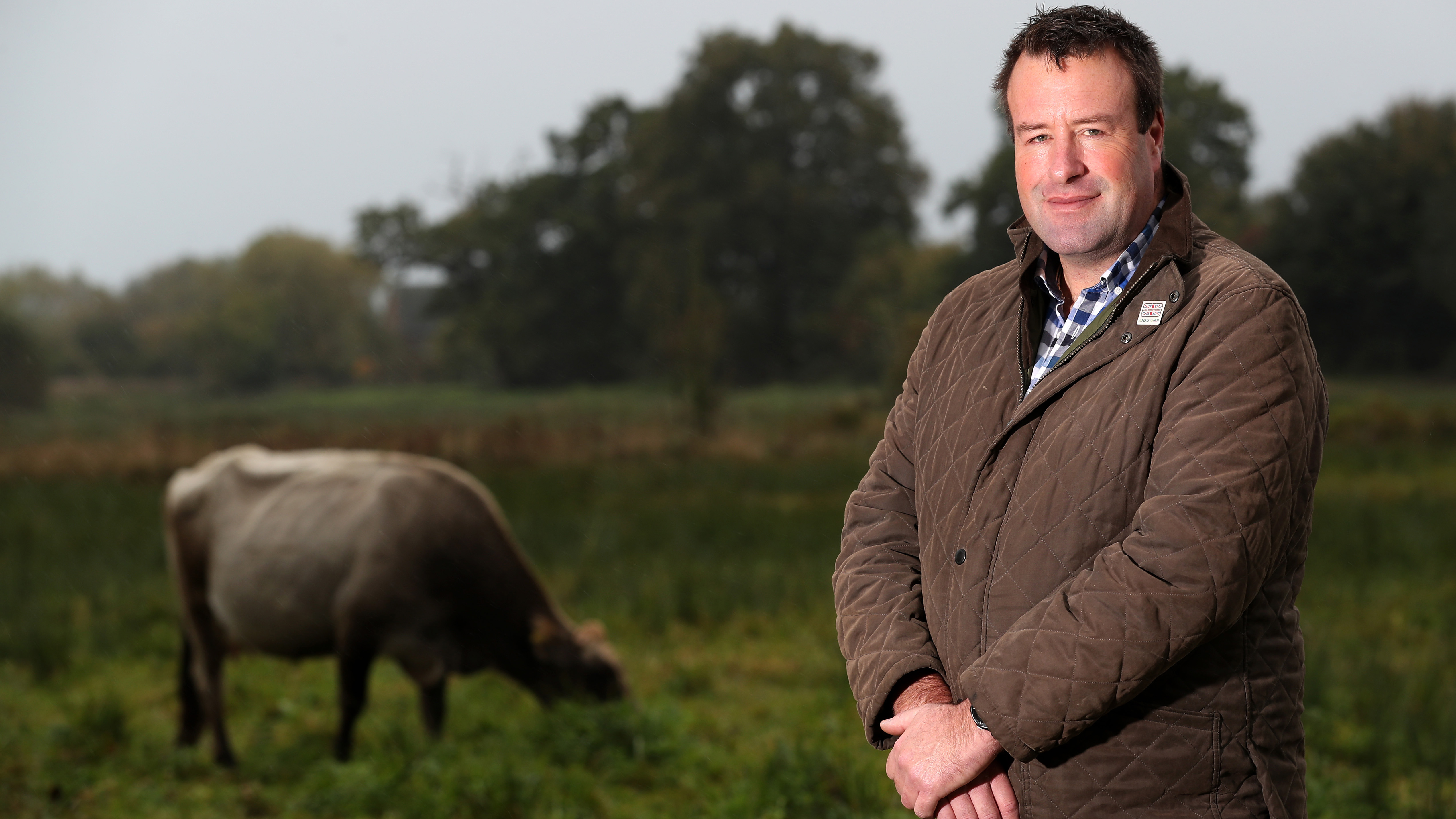 How councils can help farmers reach net zero